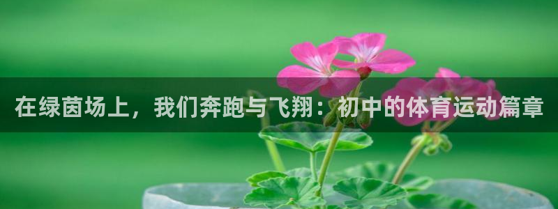 米兰体育下载：在绿茵场上，我们奔跑与飞翔：初中的体育运动篇章