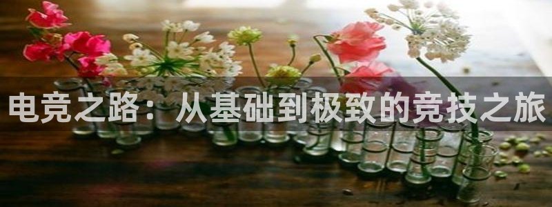 米兰体育场：电竞之路：从基础到极致的竞技之旅