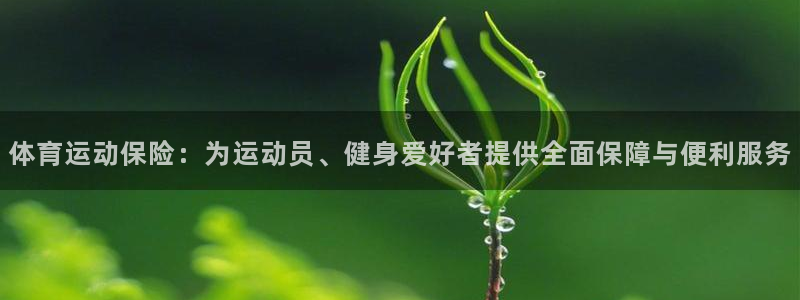 米兰体育报：体育运动保险：为运动员、健身爱好者提供全面保障与便利服务