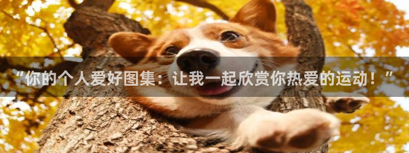 米兰体育报官网：“你的个人爱好图集：让我一起欣赏你热爱的运动！”
