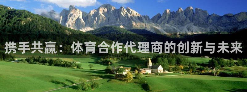 米兰体育中心：携手共赢：体育合作代理商的创新与未来
