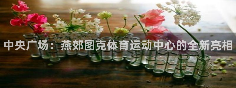 米兰体育报：中央广场：燕郊图克体育运动中心的全新亮相