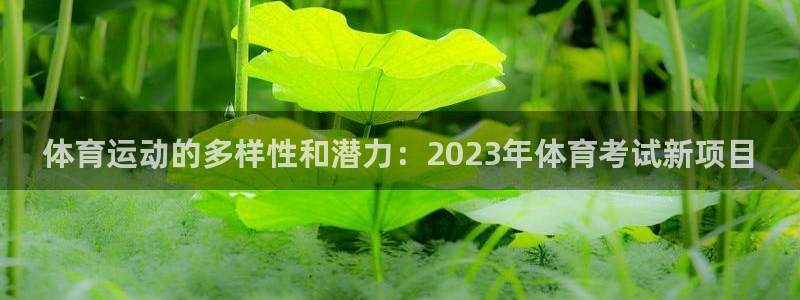 米兰体育网页版登录：体育运动的多样性和潜力：2023年体育考试新项目