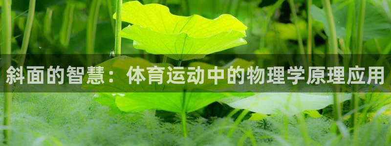 米兰体育网址：斜面的智慧：体育运动中的物理学原理应用